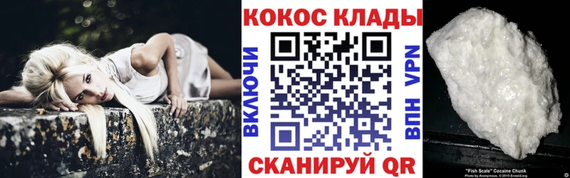 Купить закладки  Жердевка  Кокаин Fish Scale 