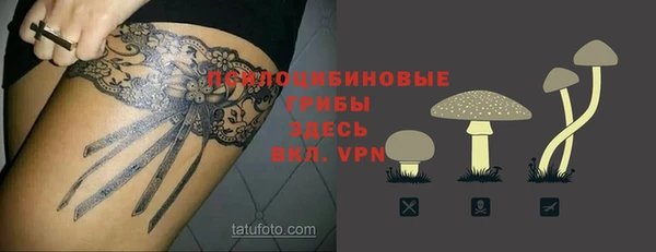 каннабис Инта