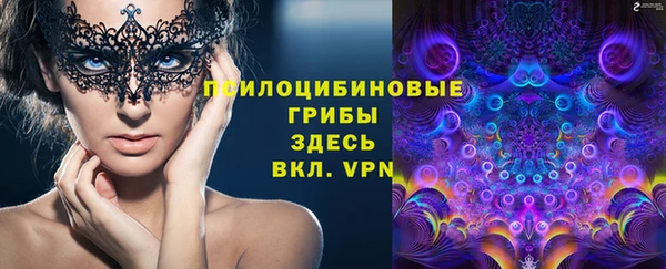 каннабис Инта