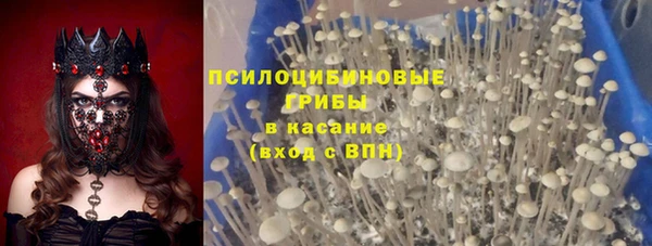 МДМА Инсар
