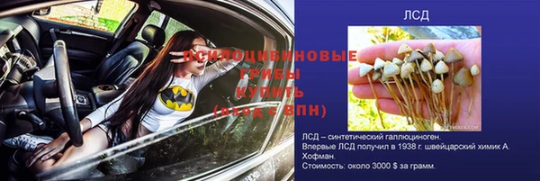 МДМА Инсар