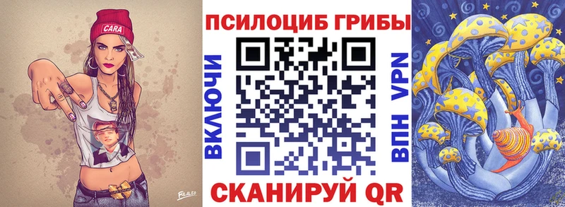 Купить где  Жердевка  Галлюциногенные грибы Cubensis 
